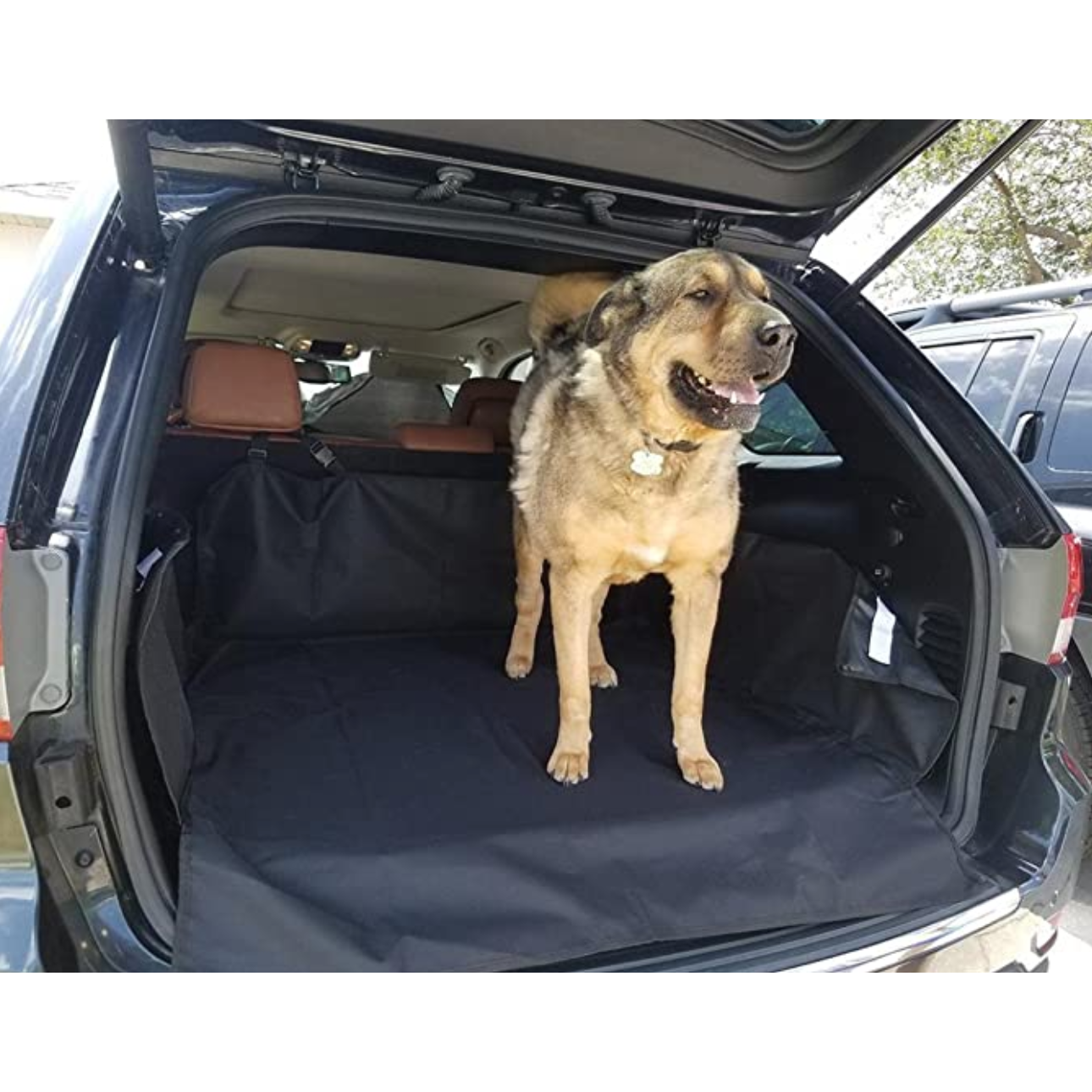 Protector de cutie pentru animale — Protecție completă și durabilă 