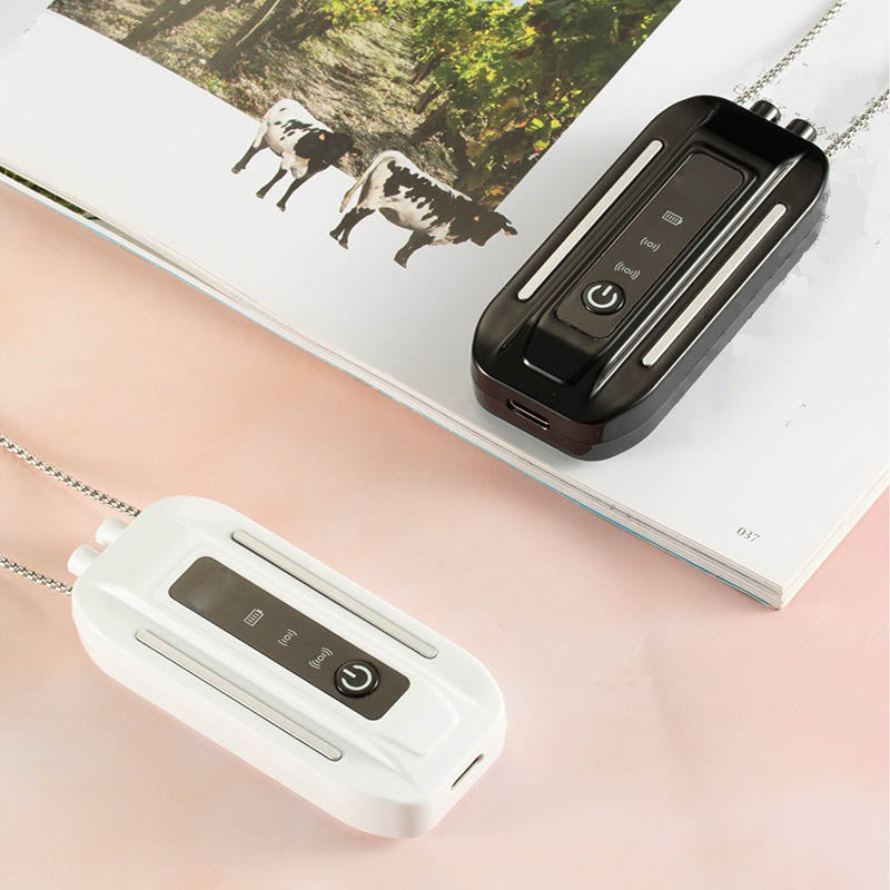 Personal Air Purifier - Purified Air & Nomadic Use