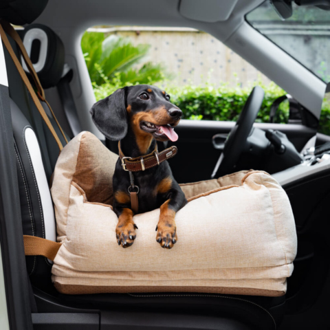 Cadeira de Auto para Cão – Conforto e Segurança no Carro 