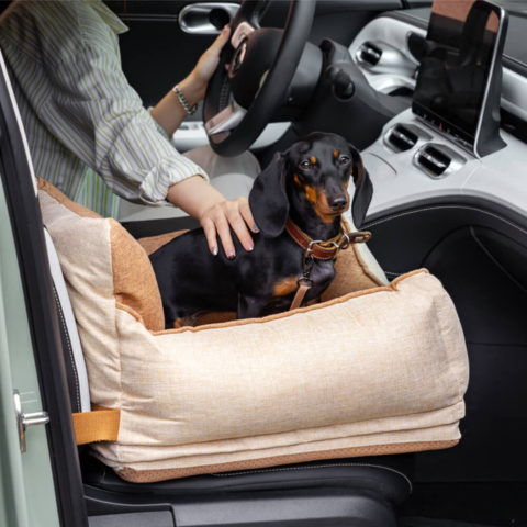 Car Seat for Dog – Comfort and Safety in the Car 