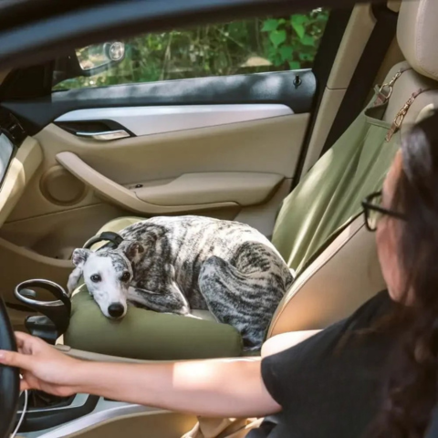 Rear Car Seat for Dog – Easy Installation and Stability 