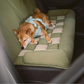 Rear Car Seat for Dog – Easy Installation and Stability 