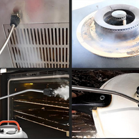 Hogedruk Stoomreiniger 2800W – Praktisch En Effectief 