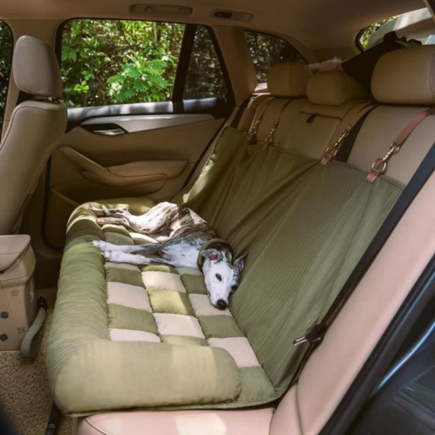 Rear Car Seat for Dog – Easy Installation and Stability 