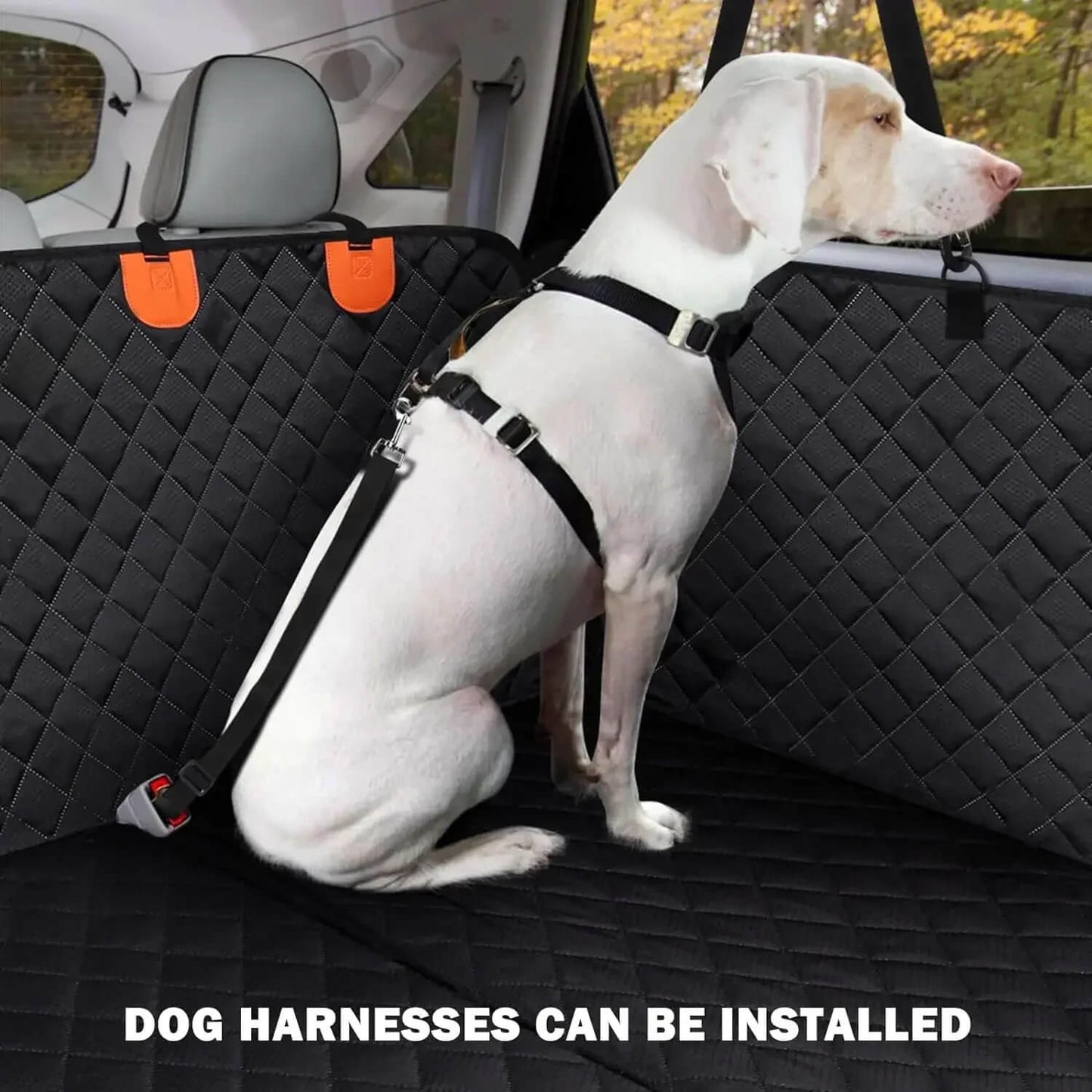 Capa de Banco de Carro para Cão – Impermeável & Antiderrapante com Cinto de Segurança 